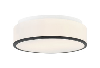 Echo Two Light Ceiling Mount in Matte Black (423|M15802MB)