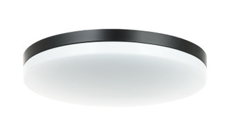 Orion LED Flush Mount in Black (423|M12002BK)