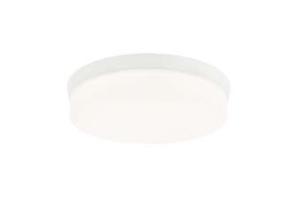 CIRCIAN LED Flush Mount in Matte White (423|M10902MW)