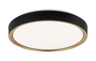 Alamus LED Ceiling Mount in Aged Gold Brass + Matte Black (423|M10602BKGL)