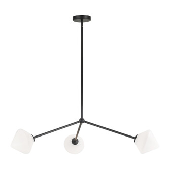 Novo Three Light Pendant in Black (423|C81743BKOP)