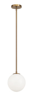 Novo One Light Chandelier in Aged Gold Brass (423|C81711AGOP)