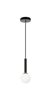 Stellar One Light Pendant in Black (423|C75301BKOP)