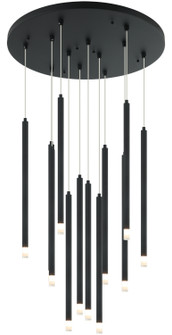 Reigndrop 12 Light Chandelier in Matte Black (423|C63112MB)