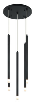Reigndrop Five Light Chandelier in Matte Black (423|C63105MB)