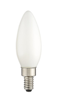Case of 60 Bulbs Filament LED Bulbs in Soft White Glass (107|920413X60)