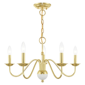 Windsor Five Light Chandelier in Polished Brass w/ White (107|5216502)