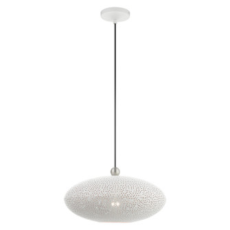 Dublin One Light Pendant in White w/ Brushed Nickels (107|4910203)