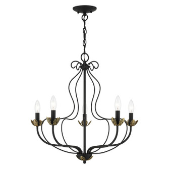 Katarina Five Light Chandelier in Black w/ Antique Brasss (107|4290504)