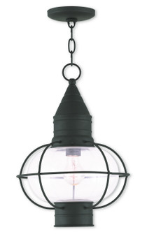 Newburyport One Light Outdoor Pendant in Black (107|2690604)