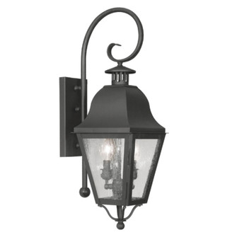 Amwell Two Light Outdoor Wall Lantern in Black (107|255104)