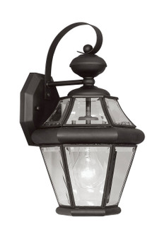Georgetown One Light Outdoor Wall Lantern in Black (107|216104)