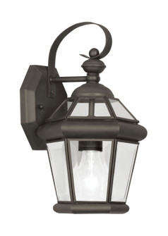 Georgetown One Light Outdoor Wall Lantern in Bronze (107|206107)
