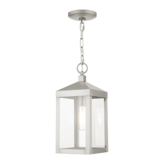 Nyack One Light Outdoor Pendant in Brushed Nickel (107|2059191)