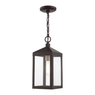 Nyack One Light Outdoor Pendant in Bronze w/ Antique Brass Cluster (107|2059107)