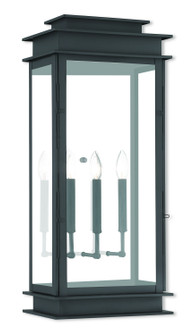 Princeton Three Light Outdoor Wall Lantern in Black w/ Polished Chrome Stainless Steel (107|2020804)