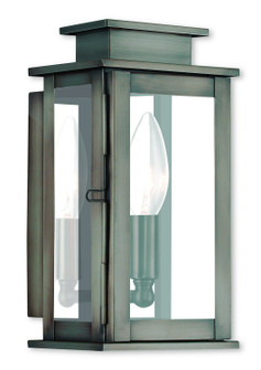 Princeton One Light Outdoor Wall Lantern in Vintage Pewter w/ Polished Chrome Stainless Steel (107|2019129)