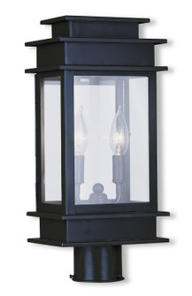 Princeton Two Light Outdoor Post Lantern in Bronze w/ Polished Chrome Stainless Steel (107|201507)