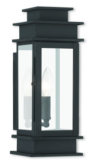Princeton One Light Outdoor Wall Lantern in Black w/ Polished Chrome Stainless Steel (107|201304)