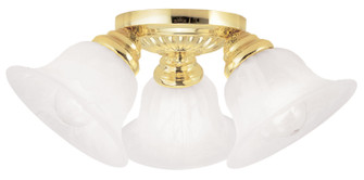 Edgemont Three Light Ceiling Mount in Polished Brass (107|152902)