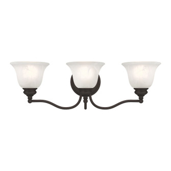 Essex Three Light Bath Vanity in Bronze (107|135307)