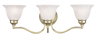 Essex Three Light Bath Vanity in Polished Brass (107|135302)