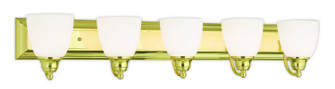 Springfield Five Light Bath Vanity in Polished Brass (107|1050502)