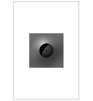 Adorne Switch in Magnesium (246|ASWV1532M2)