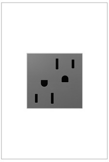 adorne 15A Dual Tamper-Resistant Outlet in Magnesium (246|ARTR152M4)