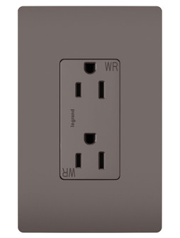 radiant Outdoor Outlet in Brown (246|885TRWR)