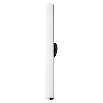 Bute LED Wall Sconce in Black (347|WS8332BK)