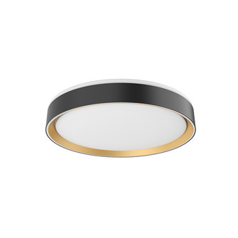 Essex LED Flush Mount in Black/Gold (347|FM43916BKGD)