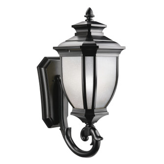 Salisbury One Light Outdoor Wall Mount in Black (12|9043BK)