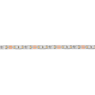 4Tl Dry Tape 12V LED Tape Light in White Material (Not Painted) (12|4T116S27WH)