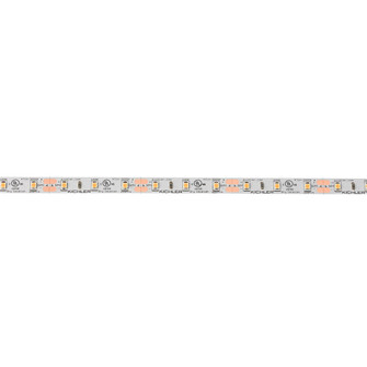 4Tl Dry Tape 12V LED Tape in White Material (Not Painted) (12|4T116H30WH)