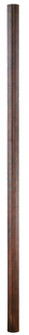 Outdoor Outdoor Straight Post in Burnished Bronze (33|9059BB)