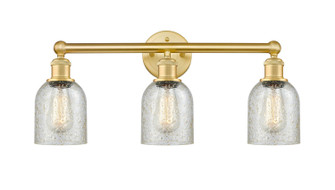 Edison Three Light Bath Vanity in Satin Gold (405|6163WSGG259)