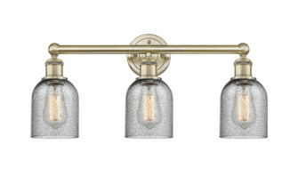 Edison Three Light Bath Vanity in Antique Brass (405|6163WABG257)