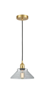 Edison One Light Mini Pendant in Satin Gold (405|6161PSGG132)