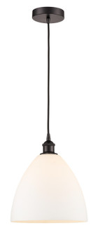 Edison One Light Mini Pendant in Oil Rubbed Bronze (405|6161POBGBD121)