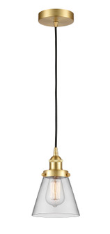 Edison One Light Mini Pendant in Satin Gold (405|6161PHSGG62)