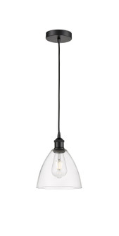 Edison One Light Mini Pendant in Matte Black (405|6161PBKGBD752)