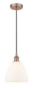 Edison One Light Mini Pendant in Antique Copper (405|6161PACGBD91)