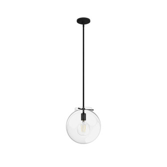 Sacha One Light Pendant in Natural Black Iron (47|19660)