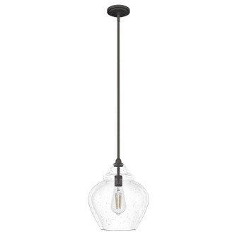 Dunshire One Light Pendant in Noble Bronze (47|19647)