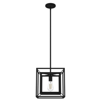 Doherty One Light Pendant in Natural Black Iron (47|19406)