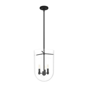 Sacha Three Light Pendant in Natural Black Iron (47|19318)