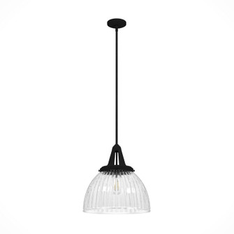 Cypress Grove One Light Pendant in Natural Black Iron (47|19251)