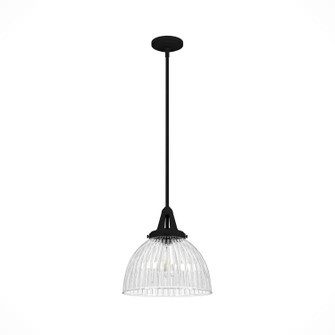 Cypress Grove One Light Pendant in Natural Black Iron (47|19249)