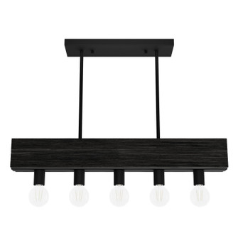 Donelson Five Light Linear Chandelier in Natural Black Iron (47|13055)